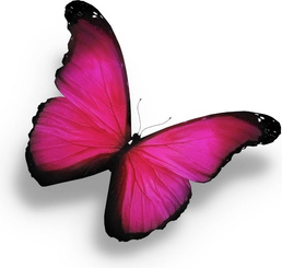 Logo Fuxia Mariposa