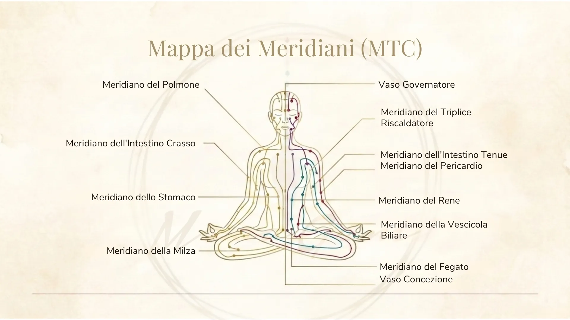 Mappa dei Meridiani della Medicina Tradizionale Cinese (MTC): figura in meditazione con i 12 canali energetici e i vasi Governatore e Concezione